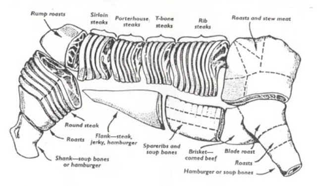 Angus Beef Chart