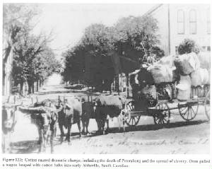 cottonwagoninabbevillesc.jpg