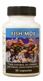 Fish Mox (Amoxicillin) 250mg 30 ct