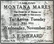 montanamares.jpg